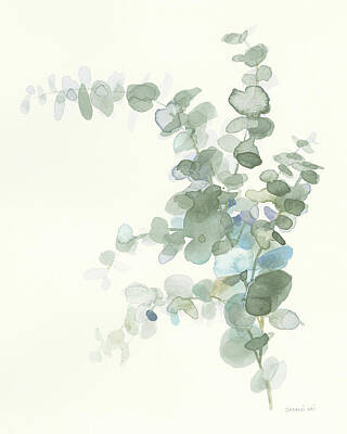 Eucalyptus Sprig Art Prints