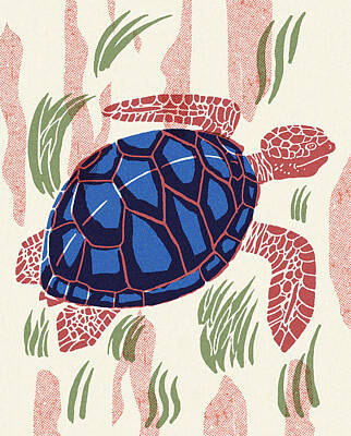 Sea Turtle Drawings
