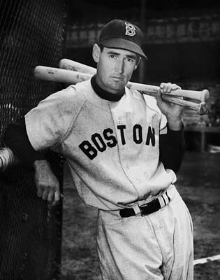 Designs Similar to Ted Williams by Fpg