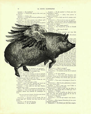 Pig Aviation Comparative Flight Postures \u2013 8x10 Misinformational Watercolor Print