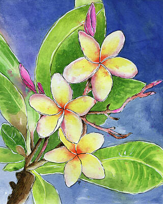  Painting - Hawaiian Plumeria Flower by Beth Taylor