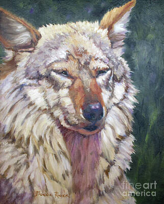 Mexican Gray Wolf Paintings