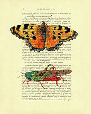 Grasshopper Art Prints