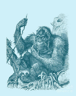 Orangutan Digital Art