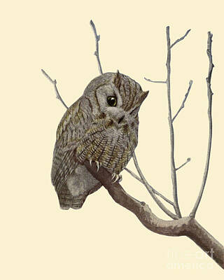 Bird On Tree Digital Art Prints