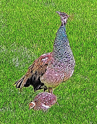  Photograph - Peahen and chick by Jean Evans