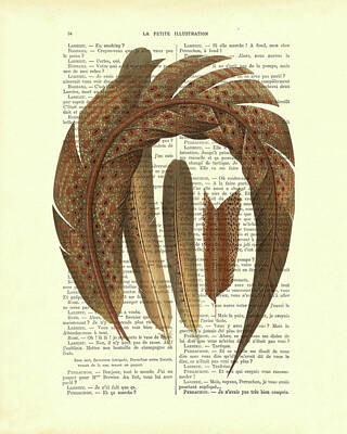 Tail Feather Mixed Media Art Prints