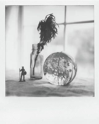  Photograph - Still Life in Silver Shade by Jon Woodhams
