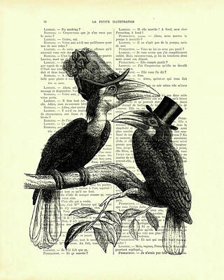 Hornbill Art Prints