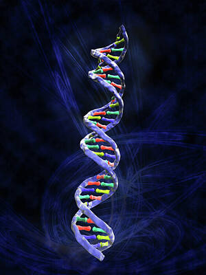 Deoxyribonucleic Acid Photos