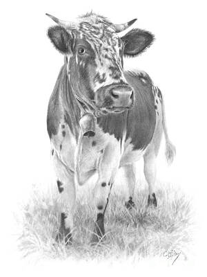  Drawing - Alpine Cow by Chris Mosley
