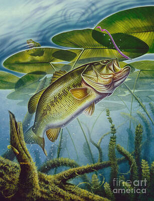 Bass Fishing Art Prints for Sale (Page #2 of 35) - Fine Art America