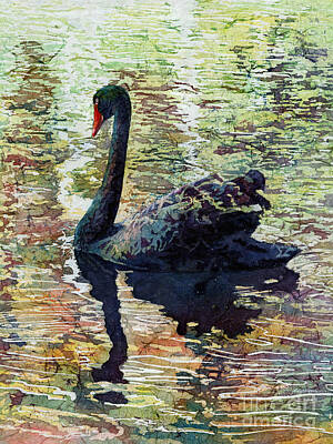 Black-necked Swans Art