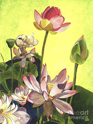 White Lotus Flower Paintings