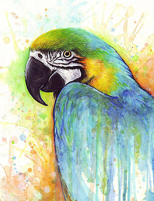 Designs Similar to Macaw Painting