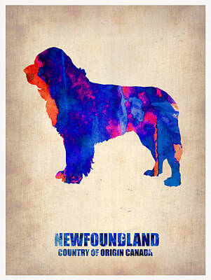 Designs Similar to Newfoundland Poster