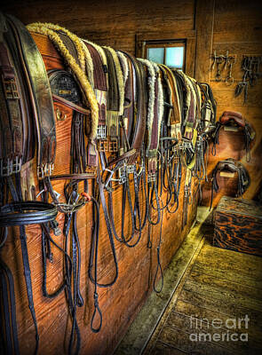 Designs Similar to The Tack Room - Equestrian