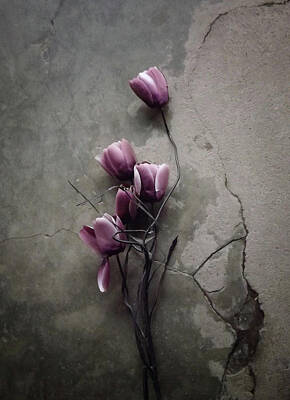 Designs Similar to The Tulip by Kahar Lagaa