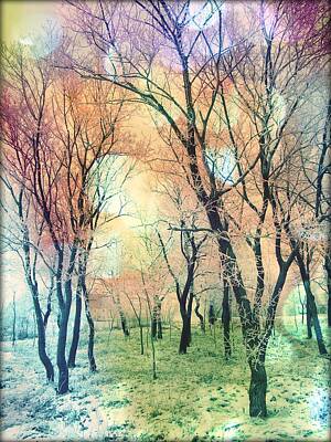 Pink Black Tree Rainbow Photos Art Prints