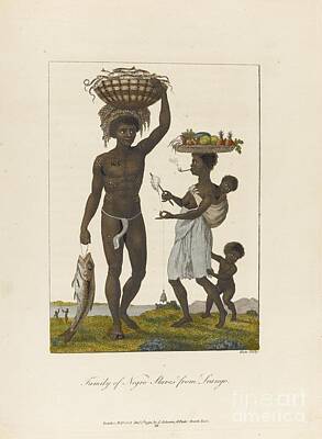 Revolted Negroes Of Surinam Art Prints