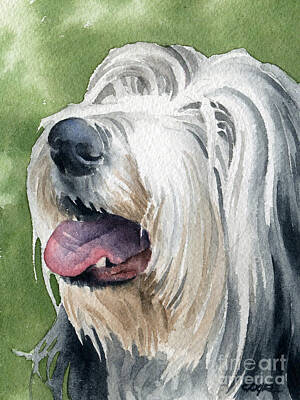 Bearded Collie Art