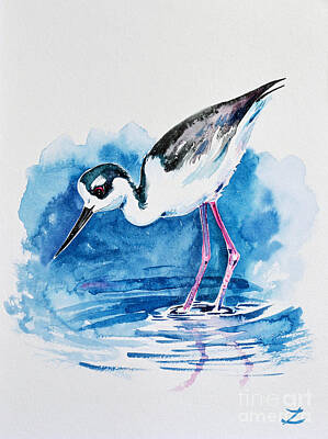 Black-necked Stilt Original Artwork