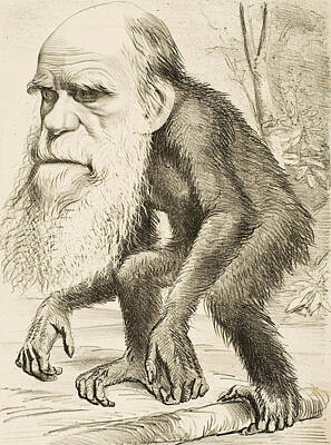 Designs Similar to Caricature of Charles Darwin