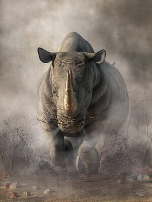 Rhinocerous Digital Art