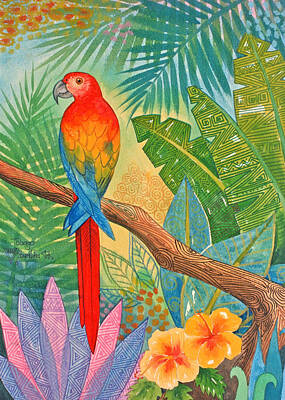 Designs Similar to Macaw by Jennifer Baird
