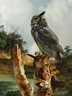 Designs Similar to Owl in Birch Tree