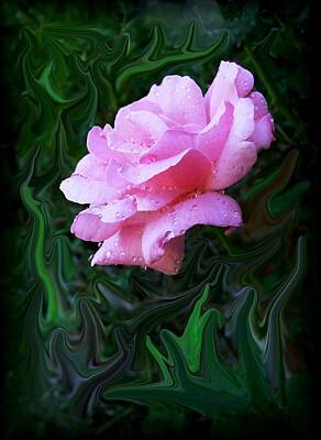 Designs Similar to Pink Rose by Jim  Darnall