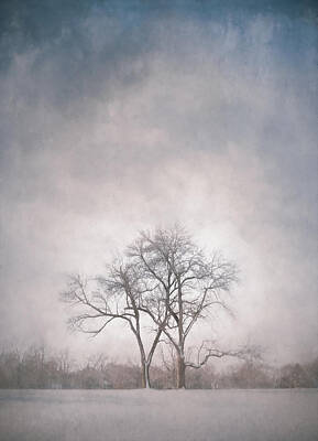 Designs Similar to Two Trees by Scott Norris