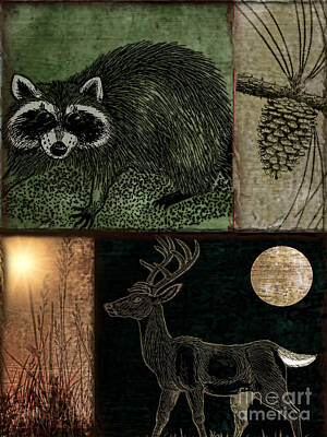 Racoon Art Prints