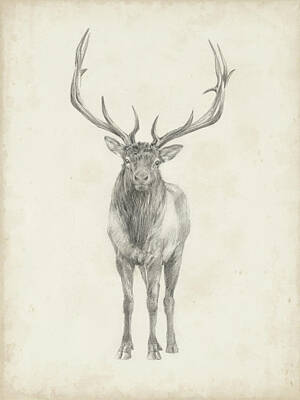 Elk Art