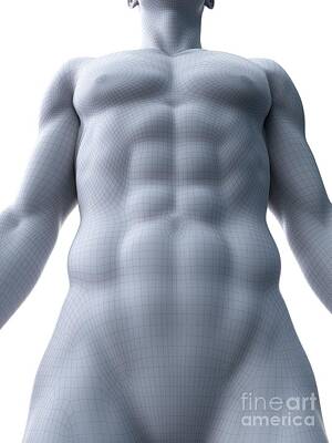 Designs Similar to Abdominal Muscles #18