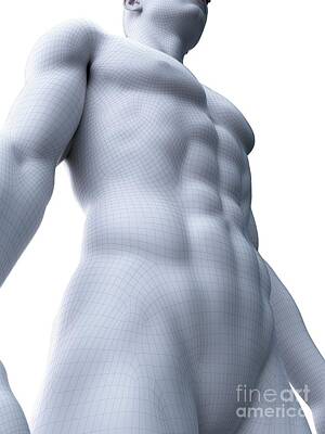 Designs Similar to Abdominal Muscles #19