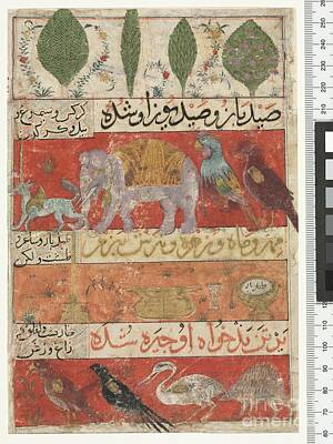 Farsi Script Art Prints
