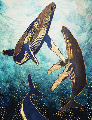 Marine Mammal Art Prints