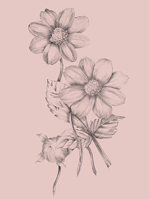Designs Similar to Blush Pink Flower Sketch