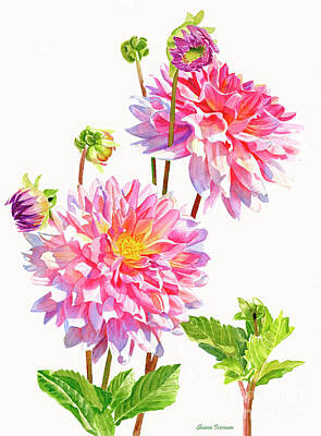 Designs Similar to Bright Pink Dahlias with Buds