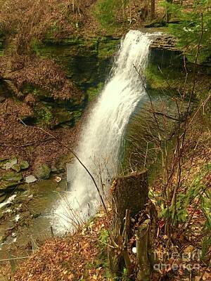 Designs Similar to Buttermilk Falls