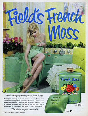 Designs Similar to Fields French Moss