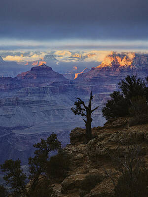 Designs Similar to Grand Canyon Lone Tree