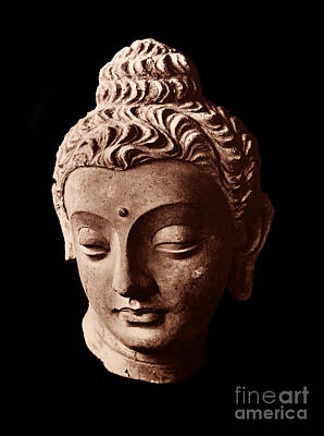 Gandhara Buddha Art