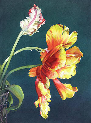 Parrot Tulip Paintings