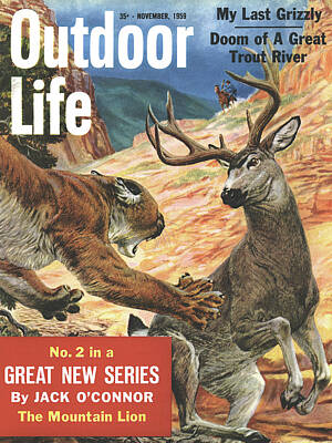 Outdoor Life Magazine Covers Wall Art