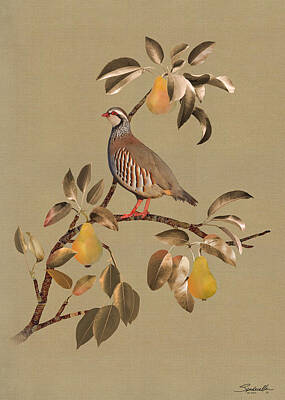 Designs Similar to Partridge In Pear Tree