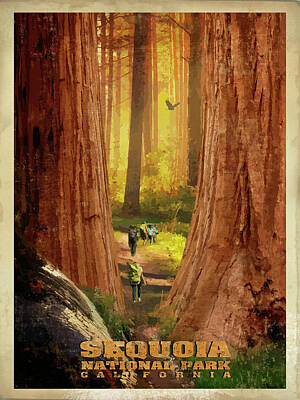 Sequoia National Park Digital Art