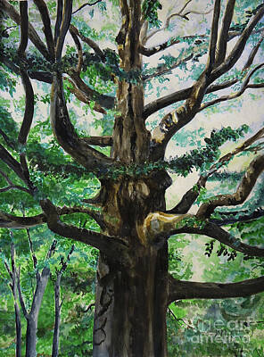  Painting - The Great Aged Beech by Michelle Curry