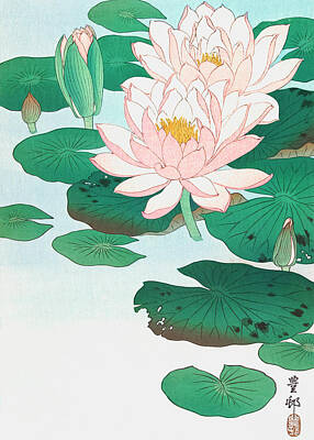 Water Lily Brown Art